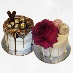 Cake Base - Cake Decorating Supplies – CakeBase