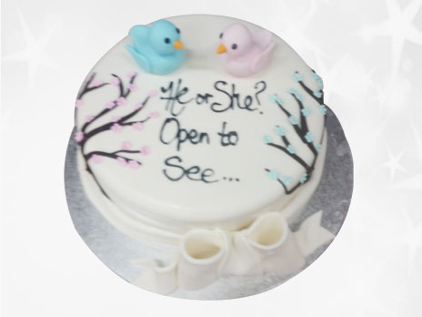Baby Shower Cakes-BS38